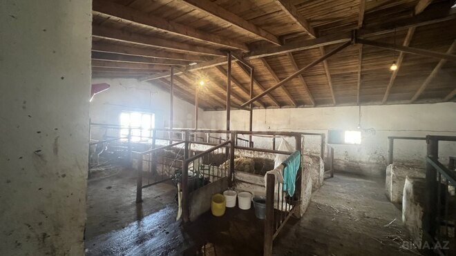 Satılır  torpaq 450 sot, Ramana q., photo 16 from 21