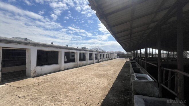 Satılır  torpaq 450 sot, Ramana q., photo 14 from 21