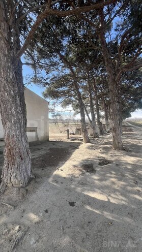 Satılır  torpaq 450 sot, Ramana q., photo 10 from 21