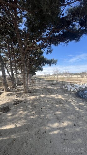 Satılır  torpaq 450 sot, Ramana q., photo 7 from 21