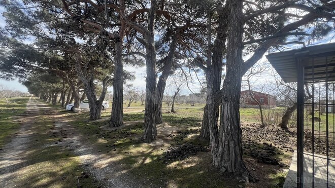 Satılır  torpaq 450 sot, Ramana q., photo 3 from 21