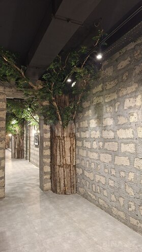 İcarəyə verilir 9 otaqlı ofis 412 m², Sahil m., photo 7 from 32