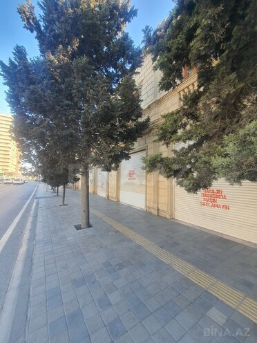 Продаётся 12-комн. дом/дача 900 м², м. Автовокзал, photo 4 from 17