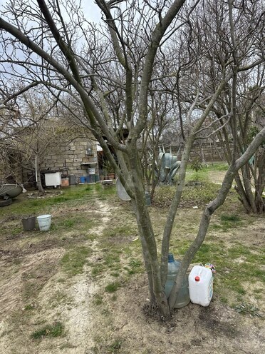 Satılır  torpaq 5 sot, Maştağa q., photo 10 from 12