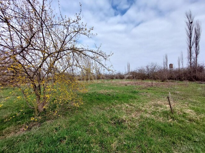 Satılır  torpaq 49.9 sot, Xaçmaz r., photo 3 from 7