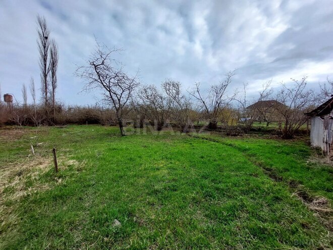 Satılır  torpaq 49.9 sot, Xaçmaz r., photo 4 from 7