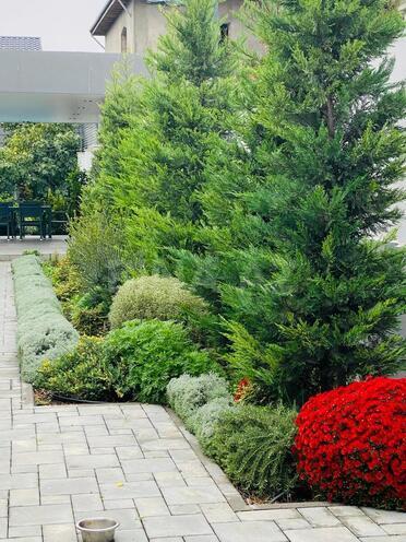 İcarəyə verilir 4 otaqlı həyət evi/bağ evi 260 m², Mərdəkan q., photo 10 from 23