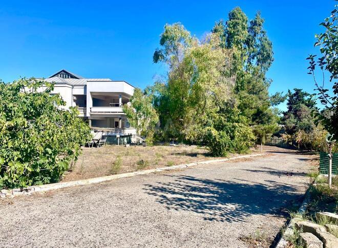 Продаётся  участок 45 сот, пос. Мардакан, photo 7 from 8