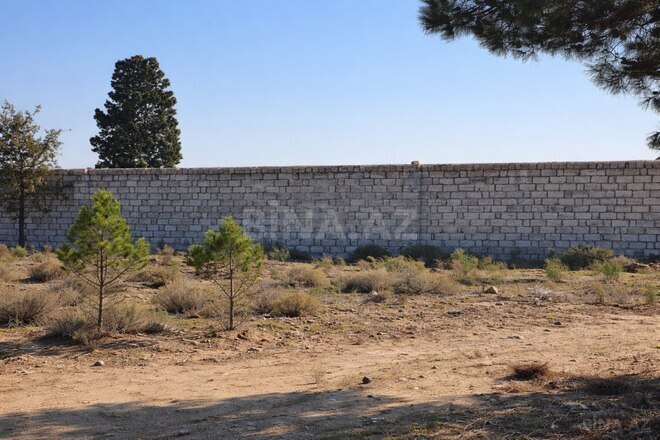 Satılır  torpaq 10 sot, Binə q., photo 10 from 15
