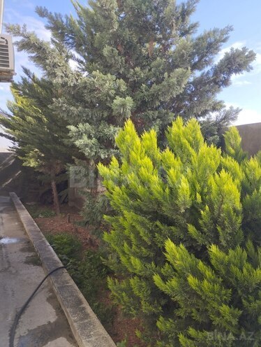 Сдаётся 3-комн. дом/дача 111 м², пос. Говсан, photo 9 from 27