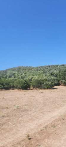 Satılır  torpaq 50 sot, photo 4 from 15