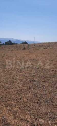 Satılır  torpaq 50 sot, photo 6 from 15