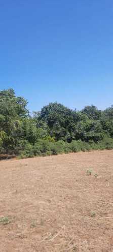 Satılır  torpaq 50 sot, photo 3 from 15