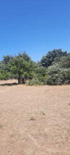 Satılır  torpaq 50 sot, photo 10 from 15