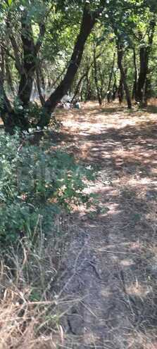 Satılır  torpaq 50 sot, photo 14 from 15