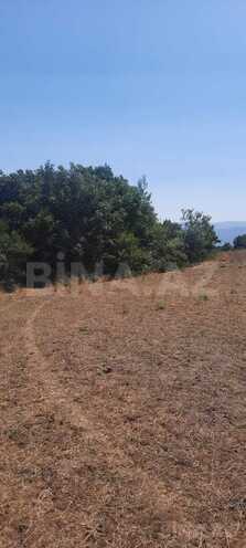 Satılır  torpaq 50 sot, photo 7 from 15