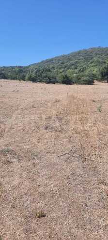 Satılır  torpaq 50 sot, photo 8 from 15