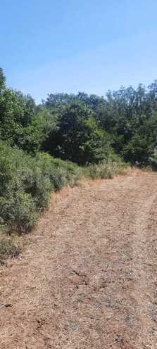 Satılır  torpaq 50 sot, photo 5 from 15