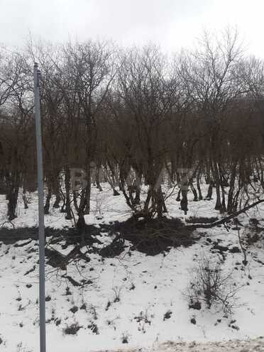 Satılır  torpaq 50 sot, photo 11 from 15