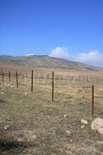 Satılır  torpaq 8 sot, photo 5 from 6