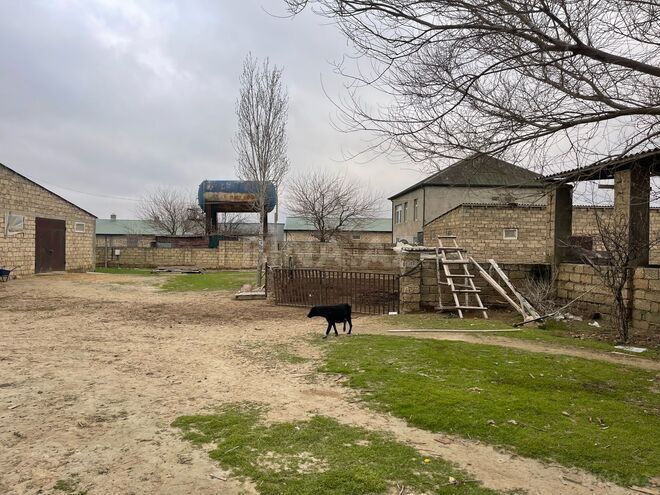 Продаётся  объект 1 000 м², пос. Мамедли, photo 9 from 11