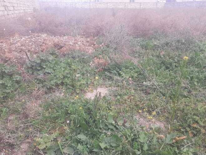 Продаётся  участок 12 сот, пос. Бильгях, photo 6 from 8