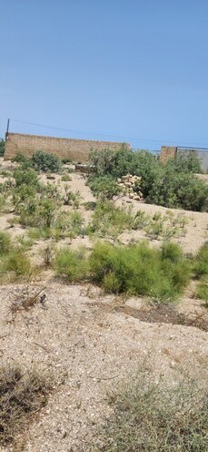 Продаётся  участок 6 сот, пос. Сангачал, photo 5 from 18