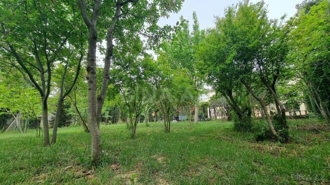 Продаётся 10-комн. дом/дача 408 м², пос. Бюльбюля, photo 22 from 32