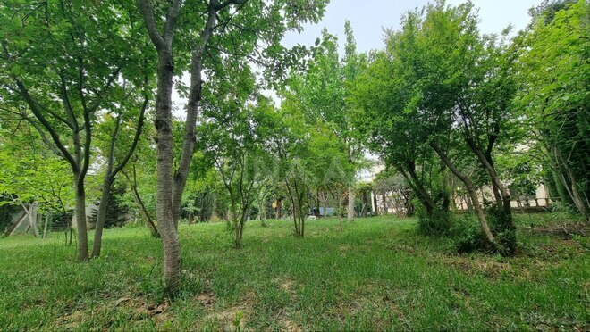 Продаётся 10-комн. дом/дача 408 м², пос. Бюльбюля, photo 27 from 32