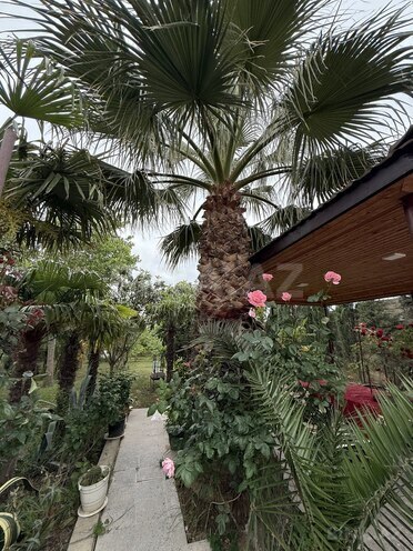 Продаётся 10-комн. дом/дача 408 м², пос. Бюльбюля, photo 19 from 32