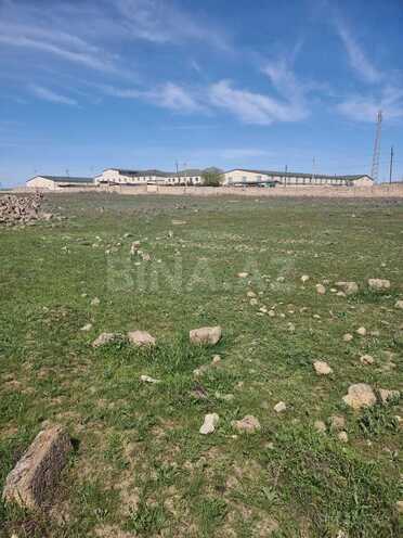 Satılır  torpaq 80 sot, Qobu q., photo 4 from 9