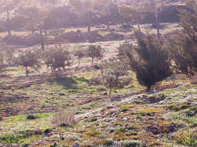 Satılır  torpaq 12 sot, Şıxov q., photo 7 from 9