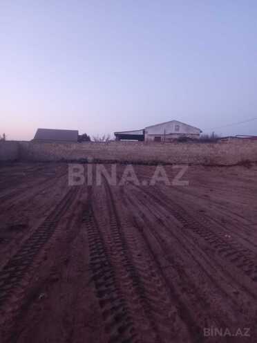 Продаётся  участок 10 сот, пос. Пиршаги, photo 3 from 6