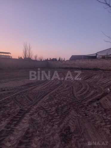 Продаётся  участок 10 сот, пос. Пиршаги, photo 4 from 6