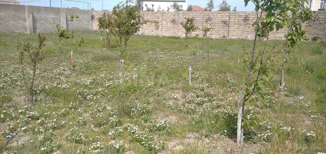 Satılır  torpaq 12 sot, Bilgəh q., photo 7 from 10
