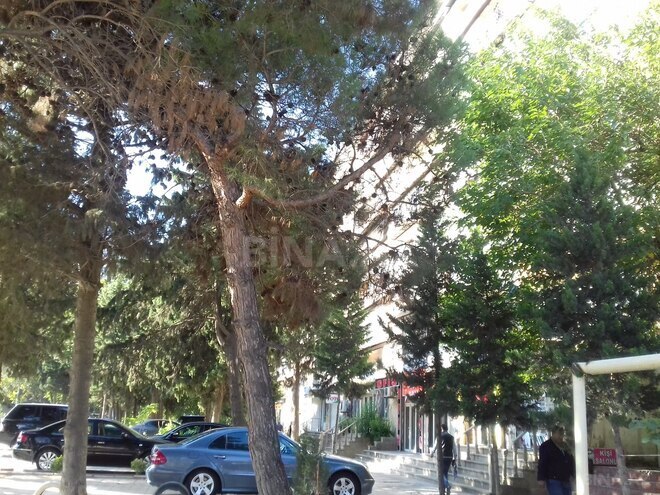 Продаётся 3-комн. вторичка 85 м², м. Азадлыг проспекти, photo 29 from 31