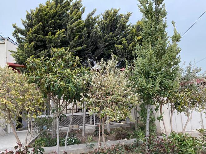 Продаётся 8-комн. дом/дача 263 м², Абшеронcкий  р., photo 18 from 21