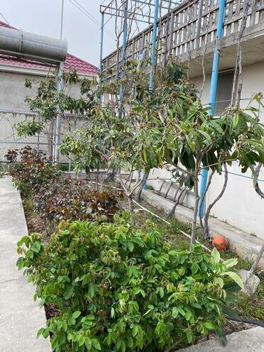 Продаётся 8-комн. дом/дача 263 м², Абшеронcкий  р., photo 16 from 21