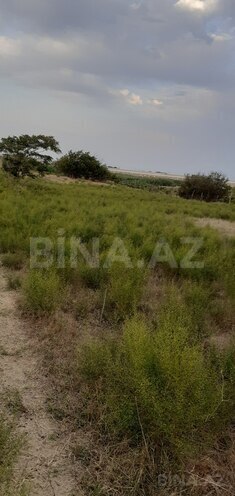 Продаётся  участок 20 сот, Пираллахи р., photo 3 from 7