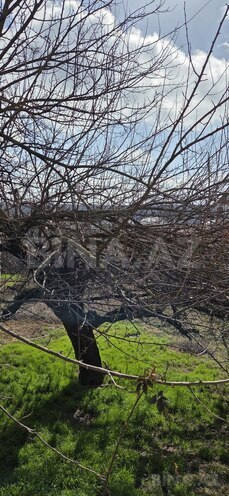 Satılır  torpaq 7 sot, photo 4 from 6