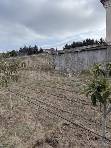 Satılır  torpaq 5 sot, Novxanı q., photo 3 from 8