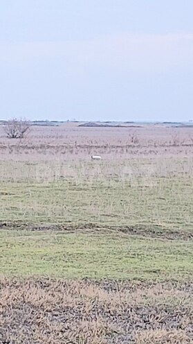 Продаётся  участок 20 000 сот, photo 7 from 10