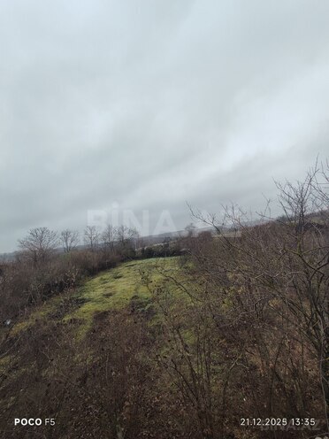 Сдаётся 3-комн. дом/дача 70 м², photo 13 from 19