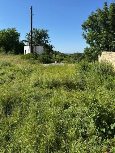 Satılır  torpaq 30 sot, photo 6 from 8