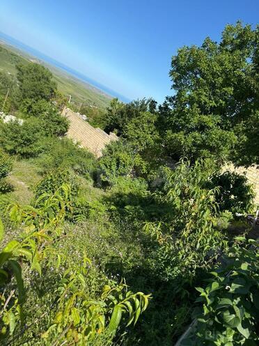 Satılır  torpaq 30 sot, photo 5 from 8