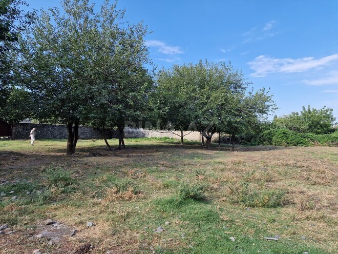 Satılır  torpaq 20 sot, photo 5 from 15