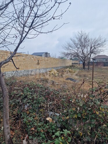 Satılır  torpaq 20 sot, photo 9 from 15