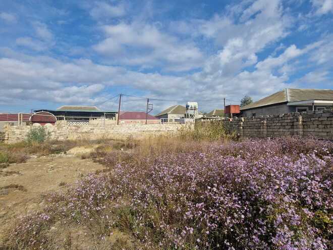 Продаётся  участок 6 сот, пос. Ени Романы, photo 14 from 17