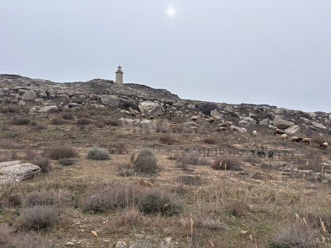 Продаётся  участок 12 сот, пос. Гюргян, photo 7 from 11