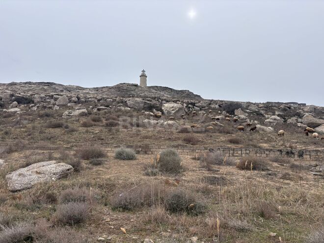 Продаётся  участок 12 сот, пос. Гюргян, photo 4 from 11